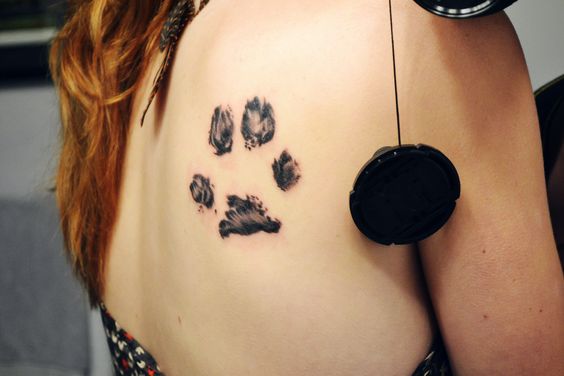 Classic Dog Paw Print Tattoo On Right Back Shoulder
