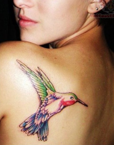 Colorful Flying Hummingbird Tattoo On Girl Left Back Shoulder