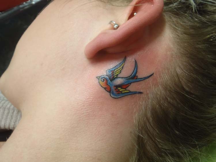 Colorful Hummingbird Tattoo On Girl Behind The Ear