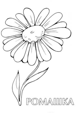 Cool Black Outline Daisy Flower Tattoo Stencil