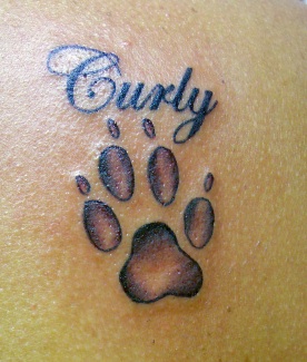 21+ Cool Dog Paw Tattoos Ideas