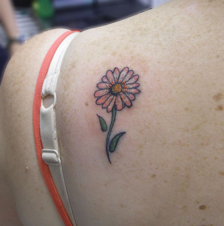 Daisy Flower Tattoo On Left Back Shoulder