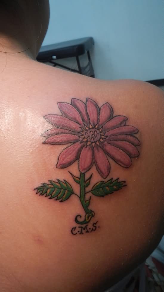 Daisy Flower Tattoo On Right Back Shoulder