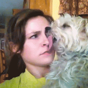 Dog Licking Girl Funny Gif Image