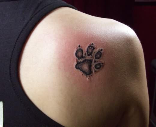 Dog Paw Print Tattoo On Right Back Shoulder