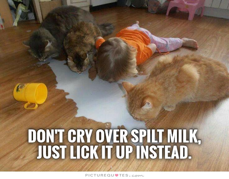 Don't Cry Over Split Milk Just Lick It Up Instead Funny Picture