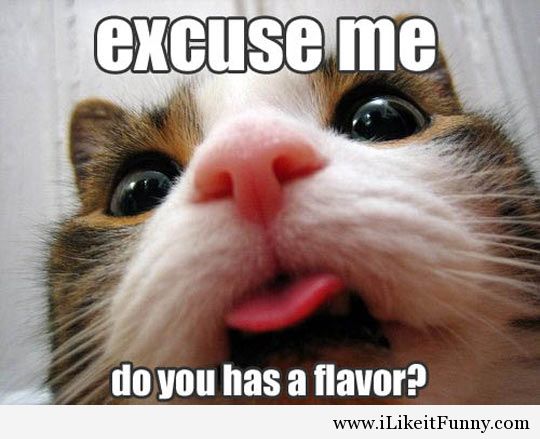Excuse Me Do You Has A Flavor Funny Cat Lick Image