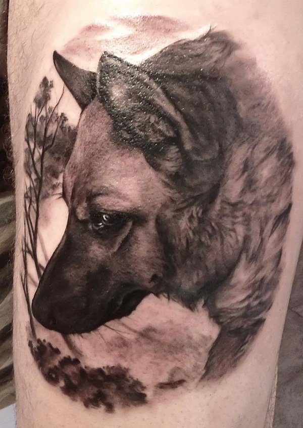 Fantastic German Shepherd Dog Face Tattoo Design