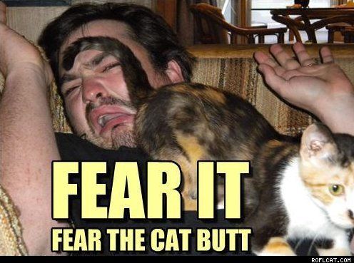 Fear The Cat Butt Funny Picture