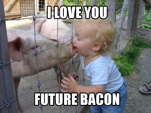 Funny Kid Licking Pig Image For Facebook