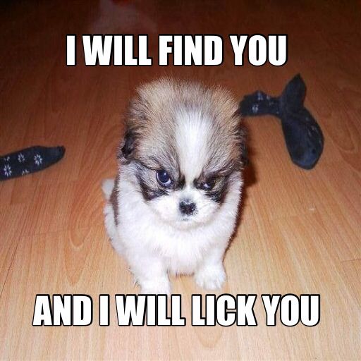 Funny Puppy Say I Will Find You And I Will Lick You Meme Image