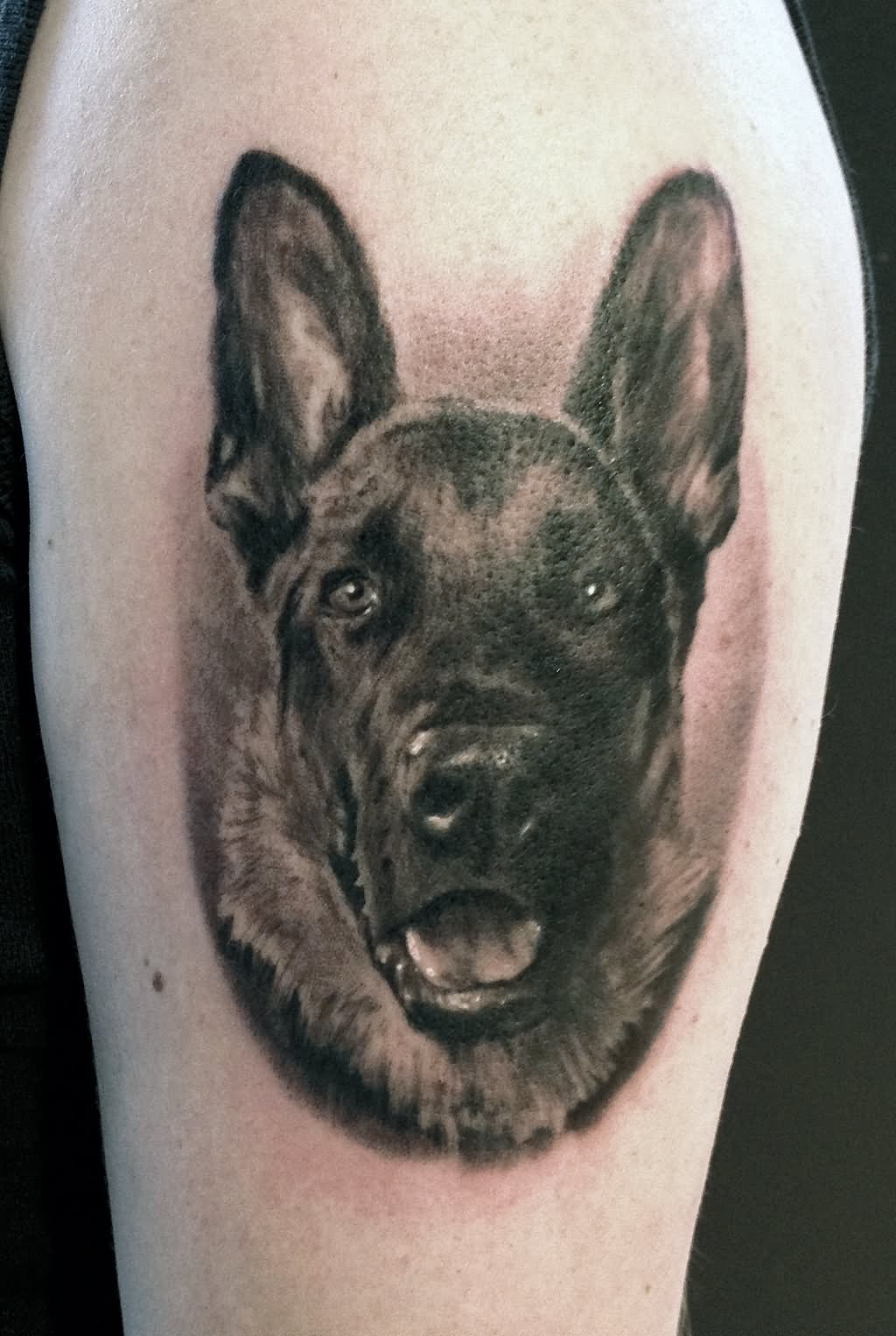 German Shepherd Dog Face Tattoo Design For Half Sleeve