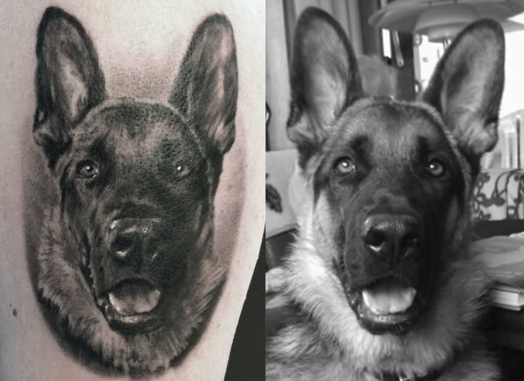 German Shepherd Dog Face Tattoo Design