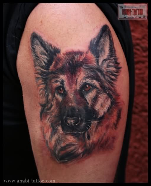 German Shepherd Dog Face Tattoo On Half Sleeve By Anabi