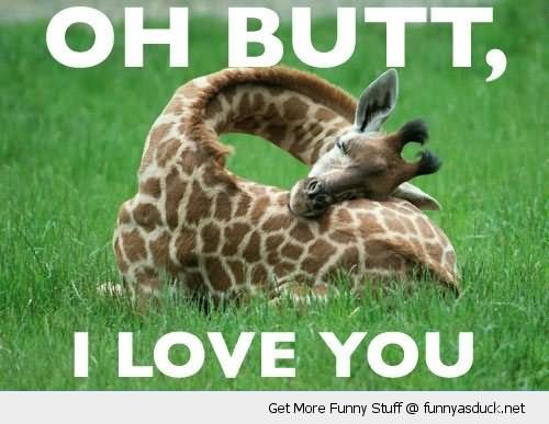 Giraffe Say Oh Butt I Love You Funny Picture