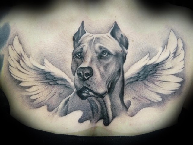 Great Dane With Wings Tattoo Design