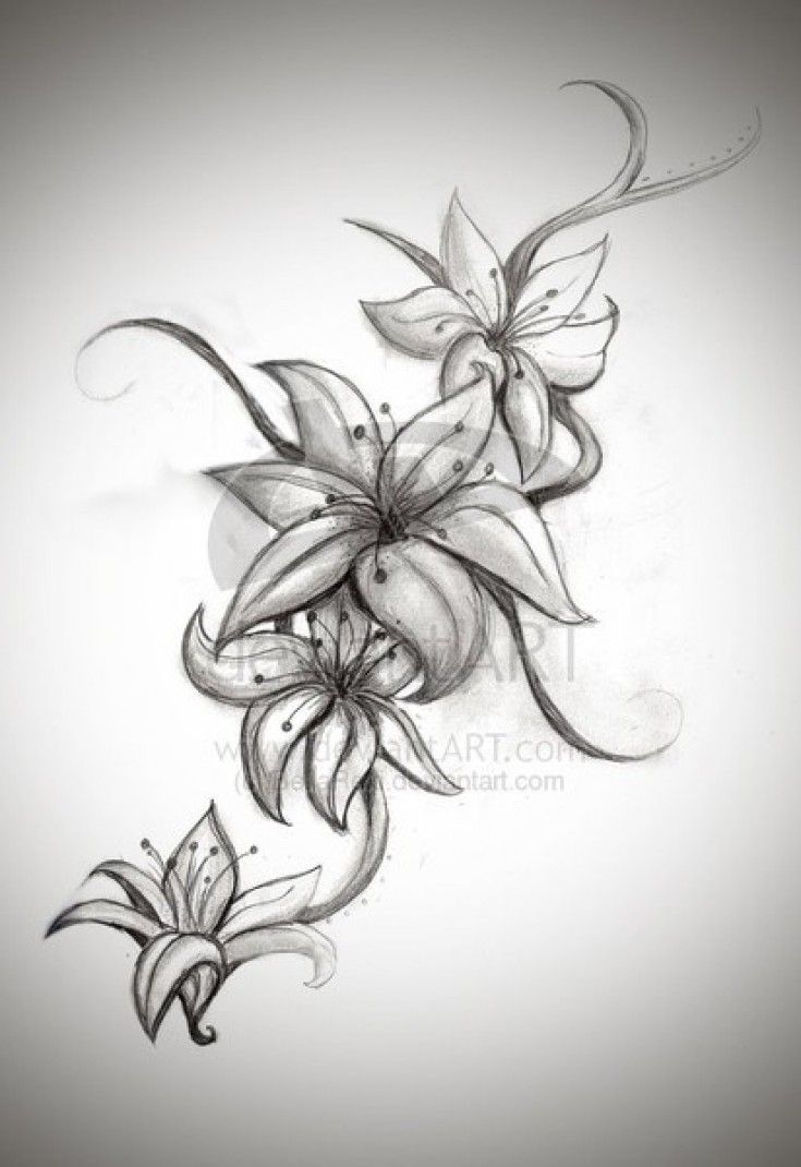 Grey Ink Daisy Flowers Tattoo Design
