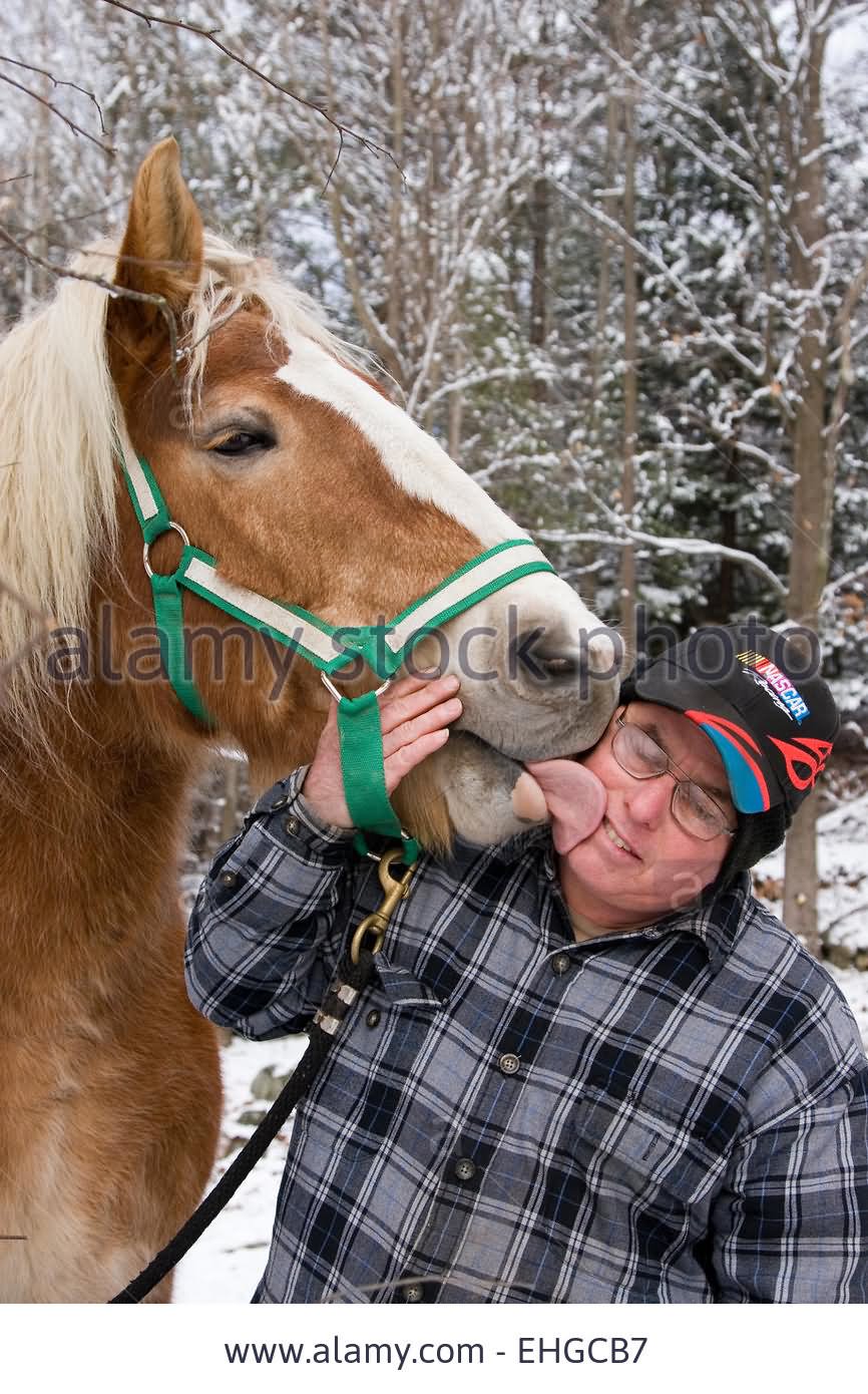 Horse Licking Man Funny Picture