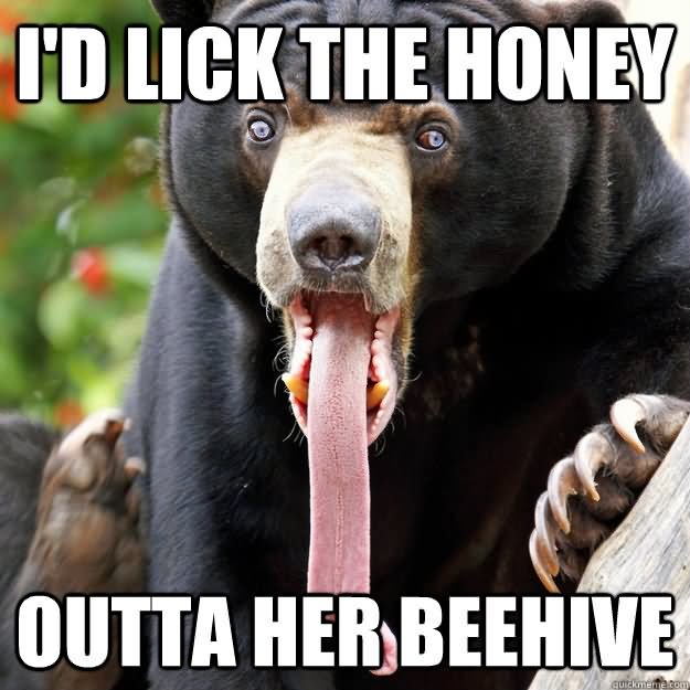 I'd Lick The Honey Funny Bear Picture