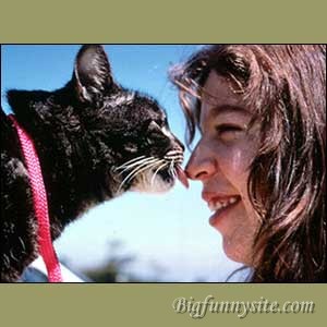 Kitten Licking Girl Nose Funny Image