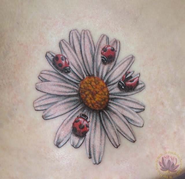 Ladybirds On Daisy Flowers Tattoo Design