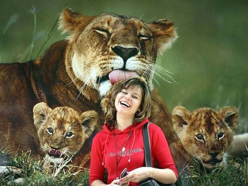 Lioness Illusion Lick Girl Funny Image