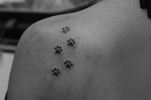 Little Dog Paw Prints Tattoo On Left Back Shoulder