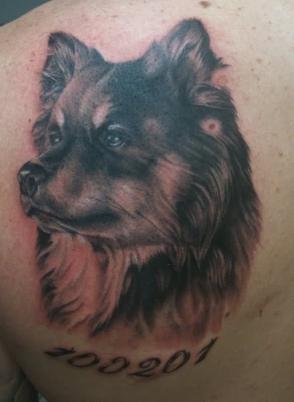 Memorial Black Ink Dog Face Tattoo On Left Back Shoulder