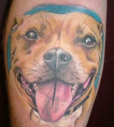 Nice Pitbull Dog Face Tattoo Design