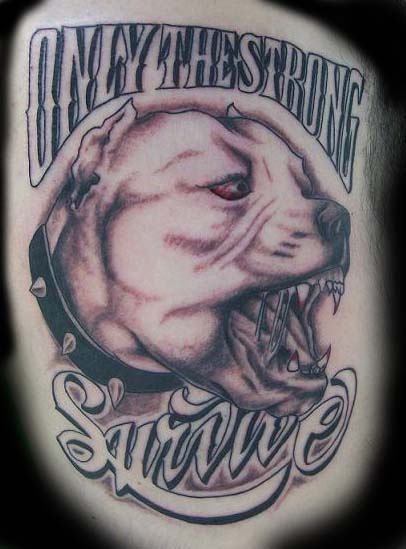Only The Strong Survive - Pitbull Dog Face Tattoo Design