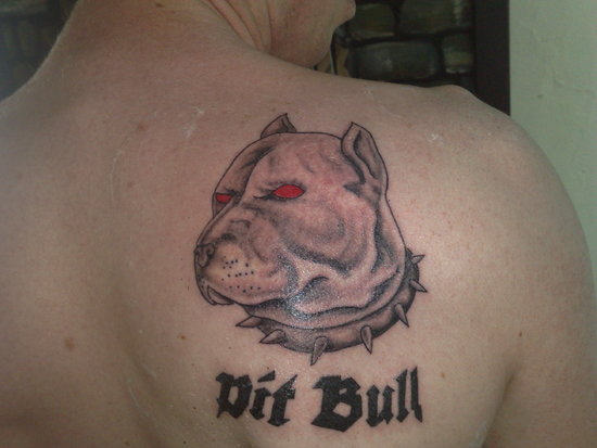Pit Bull - Pitbull Dog Face Tattoo On Right Back Shoulder