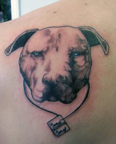 Pitbull Dog Face Tattoo Design For Back Shoulder