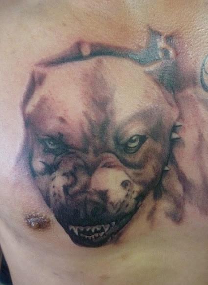 Pitbull Dog Face Tattoo On Man Chest