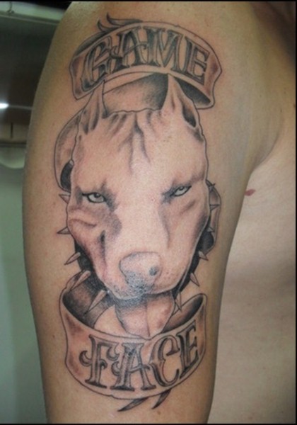 Pitbull Dog Face With Banner Tattoo On Man Right Half Sleeve