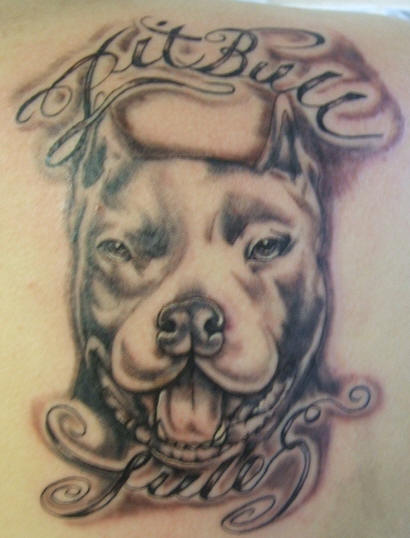 Pitbull - Pitbull Dog Face Tattoo Design