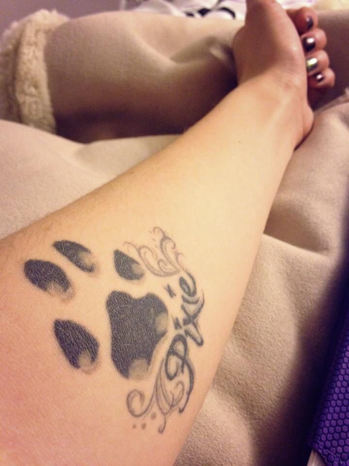 Pixie - Dog Paw Print Tattoo On Forearm