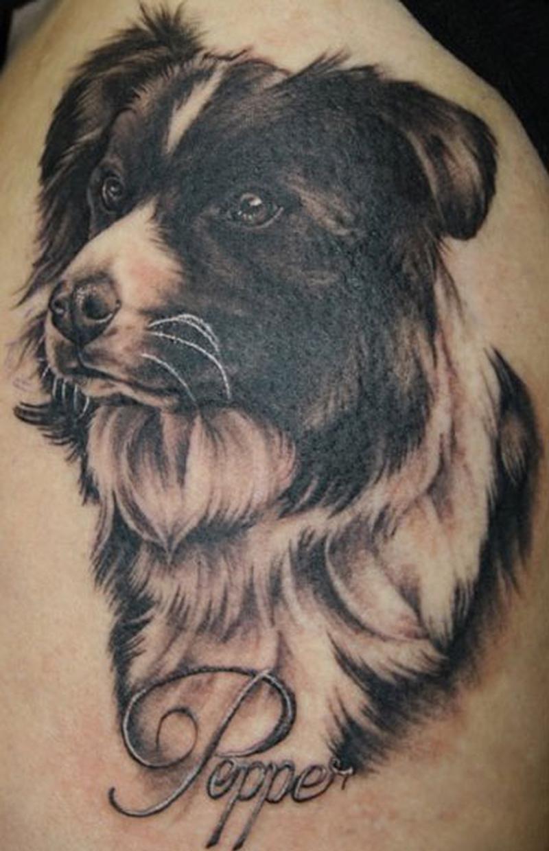 Popper - Border Collie Dog Tattoo Design