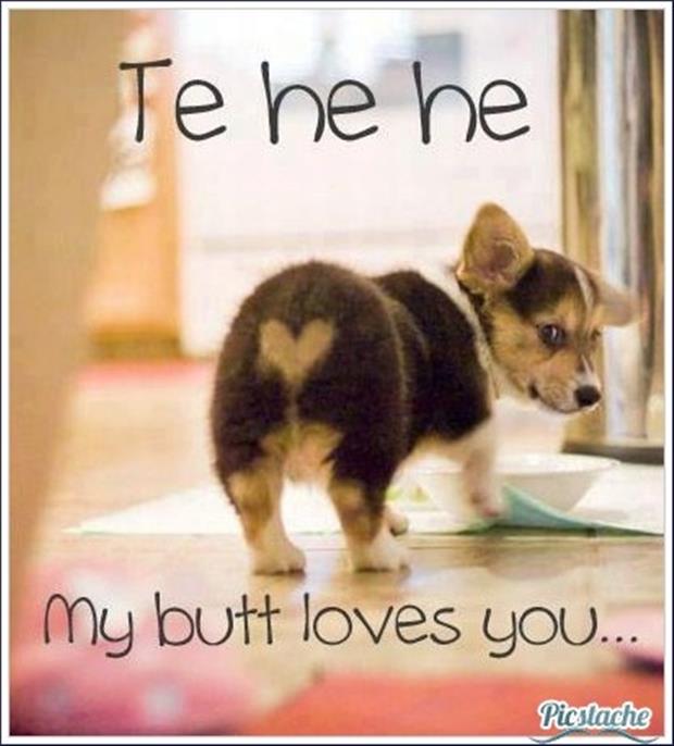 Puppy Butt Loves You Funny Picture