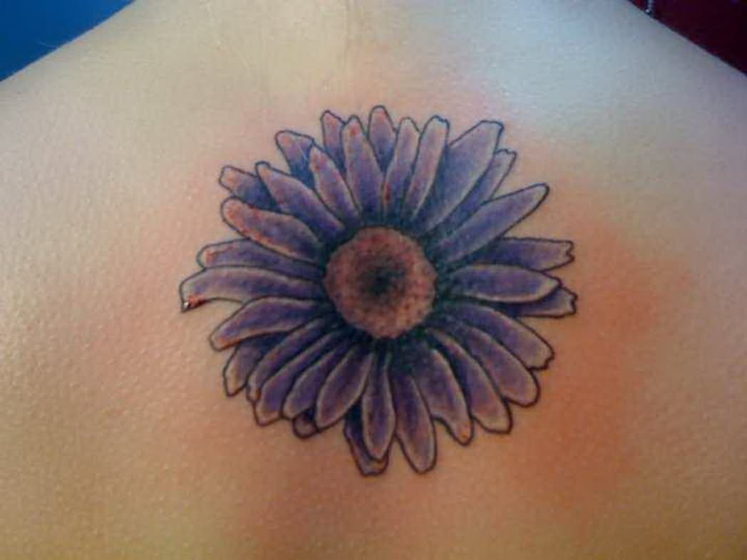 Purple Daisy Flower Tattoo On Upper Back