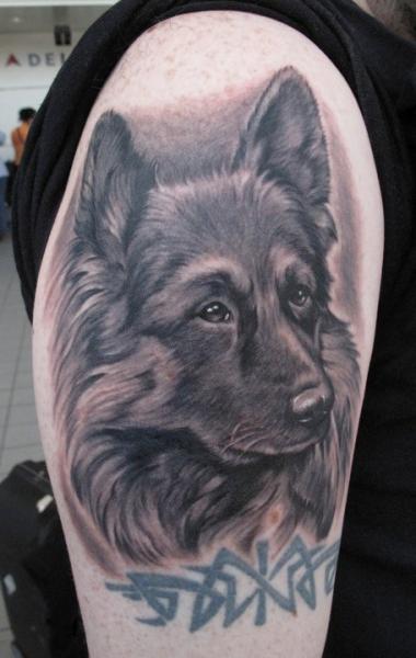 Realistic Black Ink Dog Face Tattoo On Right Shoulder