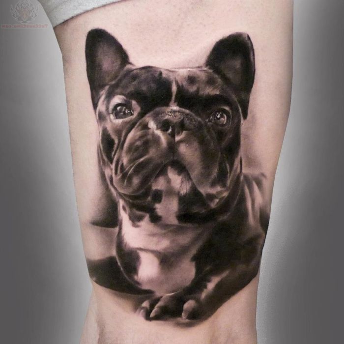 Realistic French Bulldog Tattoo Design For Leg