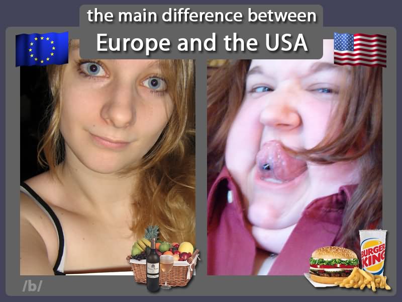 The Main Difference Between Europe And The Usa Funny Image