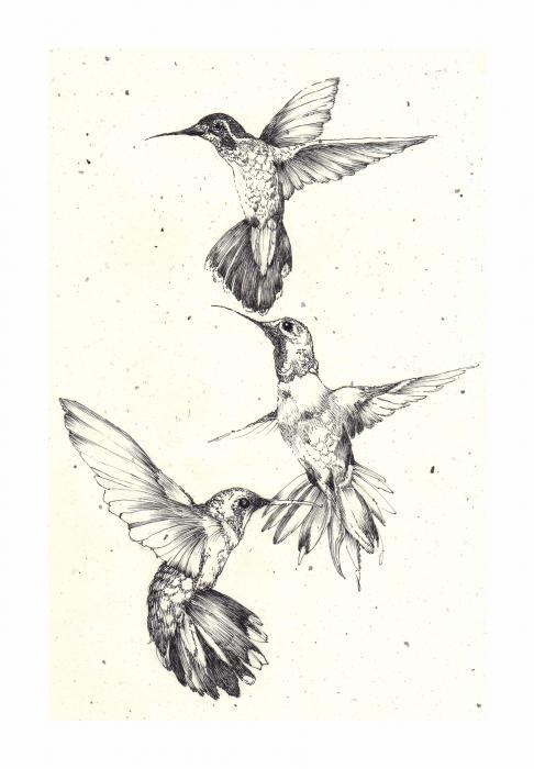 Three Flying Hummingbird Tattoo Design