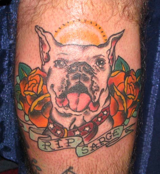Traditional Pitbull Dog Face With Roses And Banner Tattoo Design