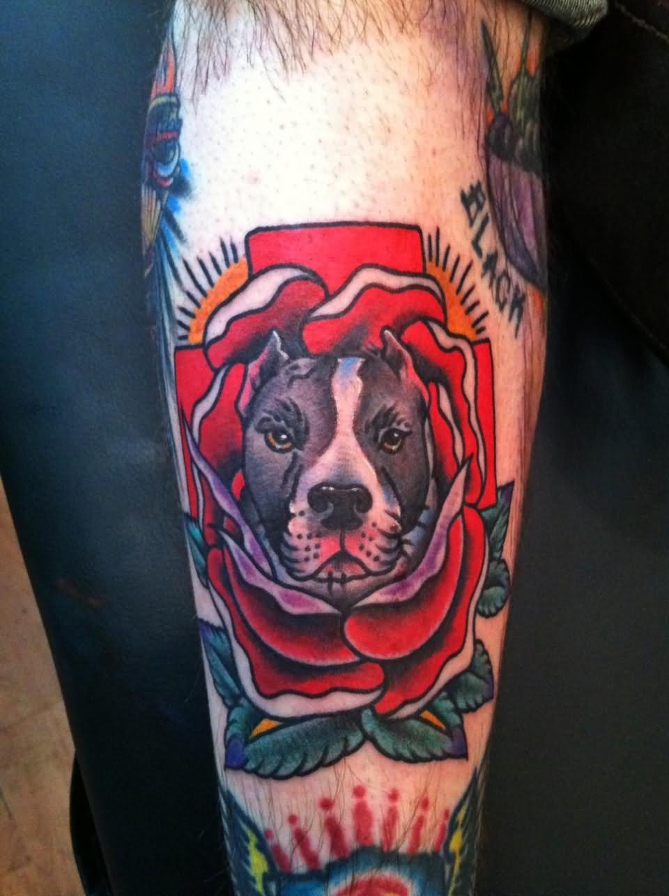 Traditional Pitbull Face In Rose Tattoo Design For Forearm