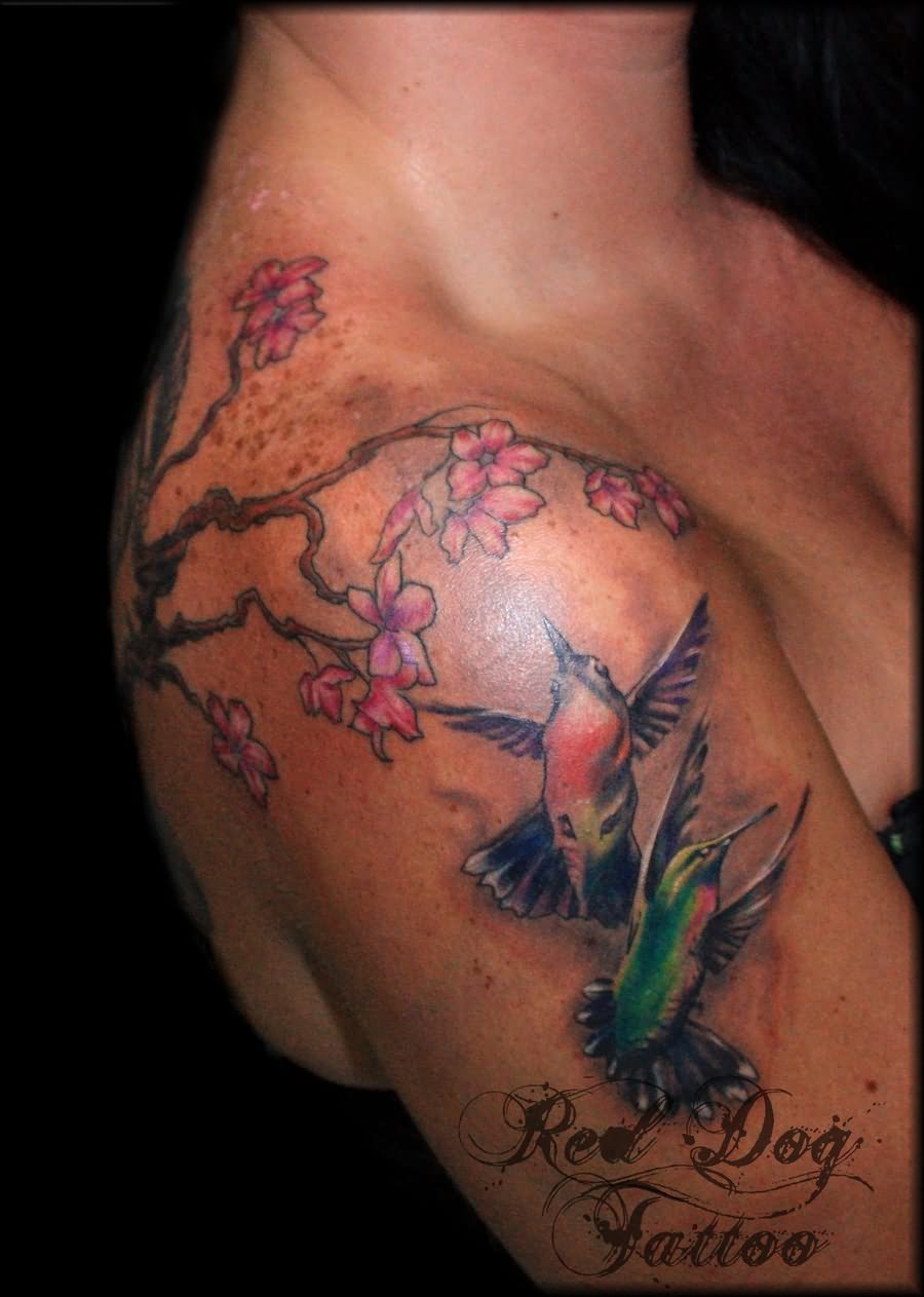 Two Hummingbirds Tattoo On Right Shoulder By Red Dog