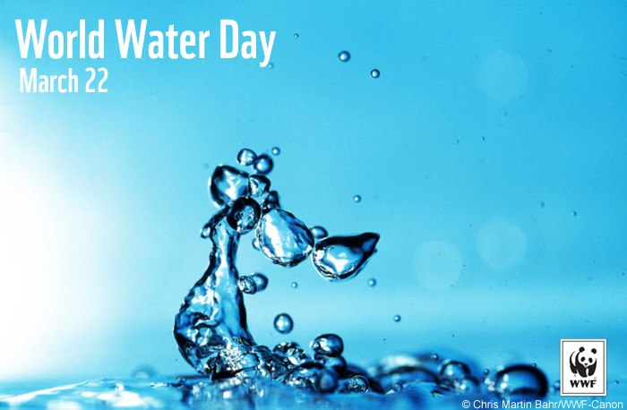 World Water Day March 22 Image