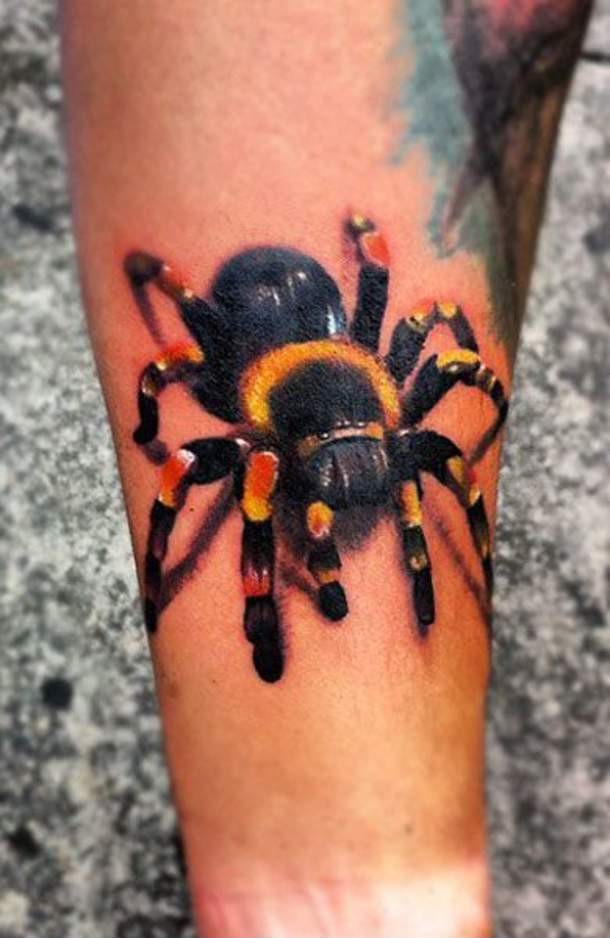 3D Spider Insect  Tattoo Design For Forearm