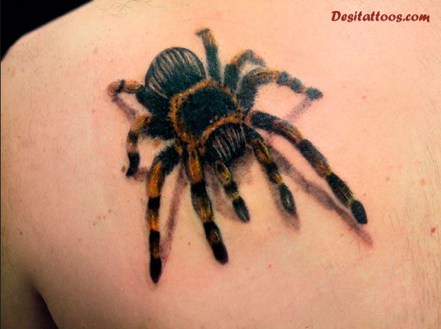 3D Spider Insect  Tattoo On Left Back Shoulder