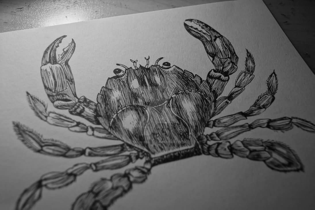 Amazing Crab Tattoo Design by Tarin Moore